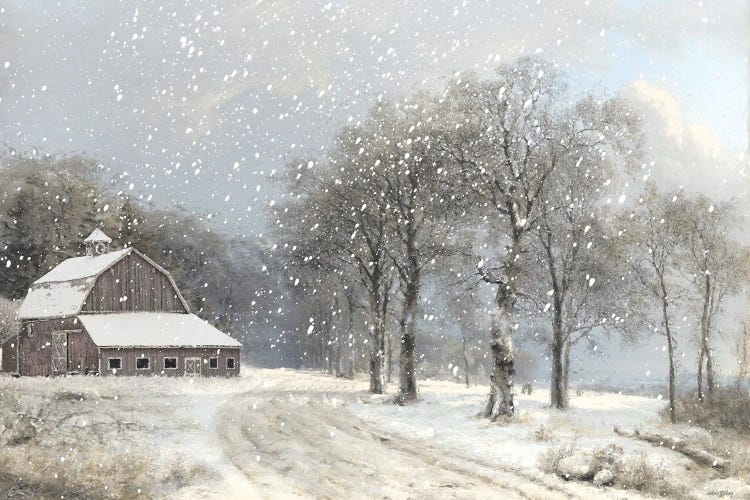 The Gray Of Winter by Amber Sterling wall art