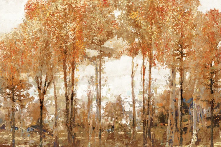 Autumn Forest Fire Of Color