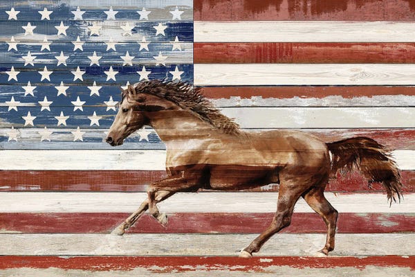 Amber Sterling: American Horse by Amber Sterling