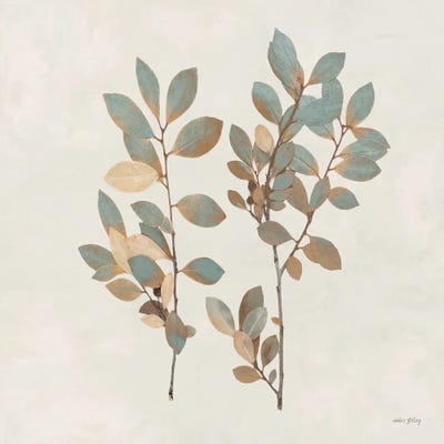 Branching Out by Amber Sterling canvas print