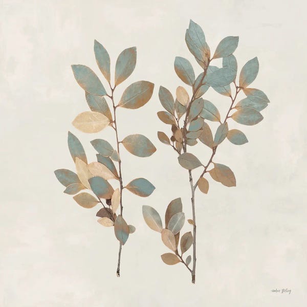 Branching Out