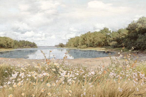 Wildflower Meadow