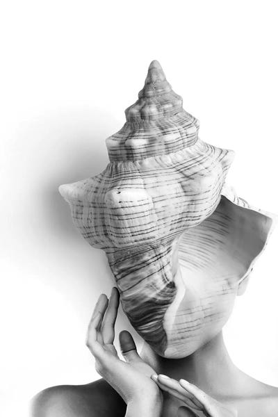 Tatiana Amrein: Shell Lady by Tatiana Amrein