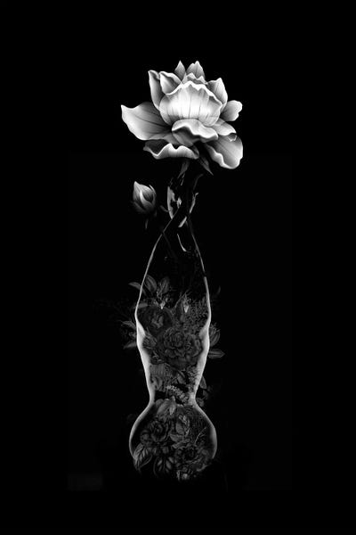 Nature Renewal: Vase by Tatiana Amrein