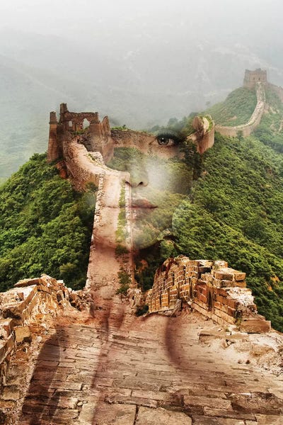 Wall by Tatiana Amrein framed canvas print