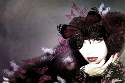 Butterflies by Tatiana Amrein framed canvas print