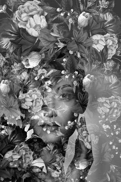 Black & White Florals: Spring II In Black And White by Tatiana Amrein