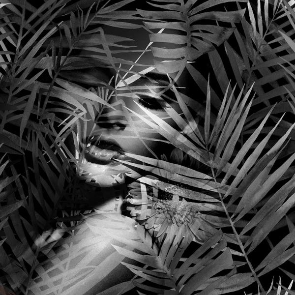 Black & White Florals: Spring III In Black And White by Tatiana Amrein