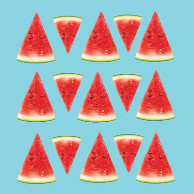 Melon Slices I by Tatiana Amrein framed canvas print