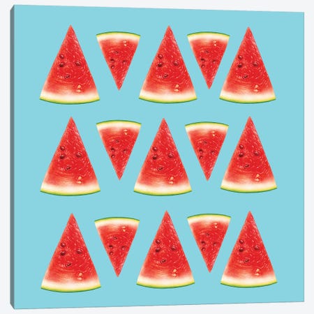 Melon Slices I Canvas Print #AMR135} by Tatiana Amrein Canvas Art