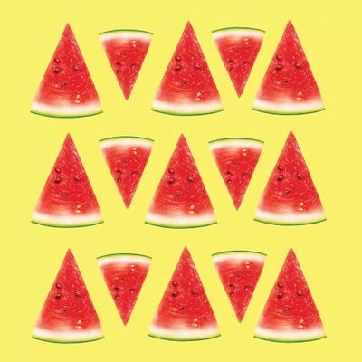 Melon Slices II by Tatiana Amrein framed canvas print