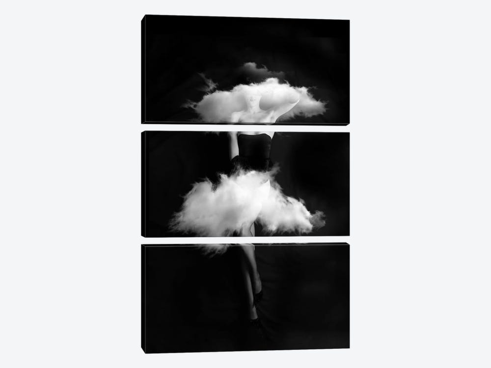 Clouds by Tatiana Amrein 3-piece Canvas Print