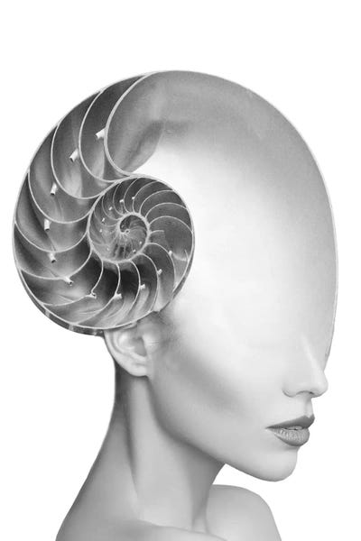 Double Exposure Photography: Shell Lady by Tatiana Amrein