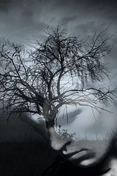 Double Exposure Photography: Tree Man II by Tatiana Amrein