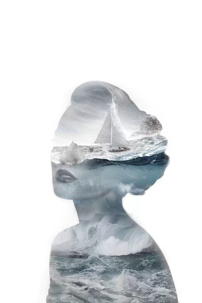 Storm by Tatiana Amrein framed canvas print