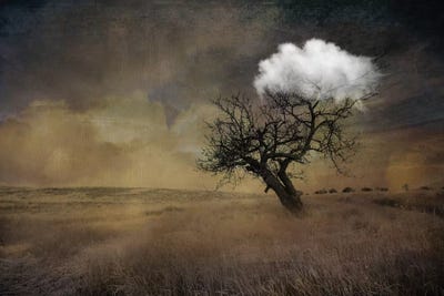 Tree by Tatiana Amrein framed canvas print