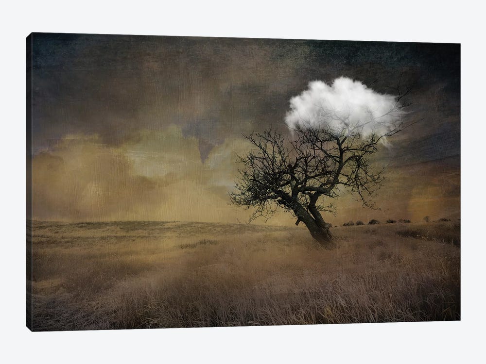 Tree by Tatiana Amrein 1-piece Art Print
