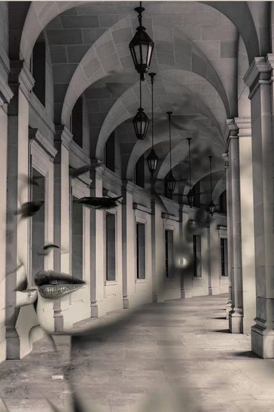 Arches: Arch Girl by Tatiana Amrein