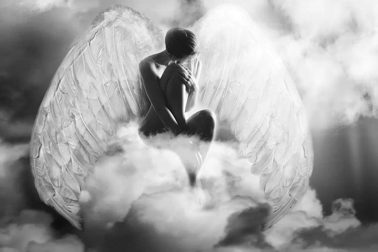 Angel Wings by Tatiana Amrein wall art