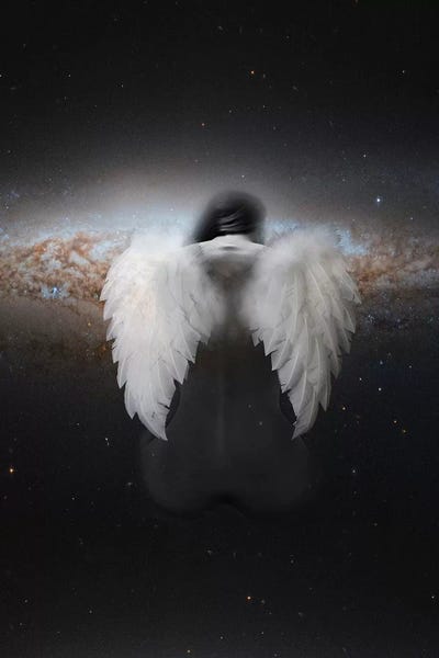 Wings: Lost by Tatiana Amrein