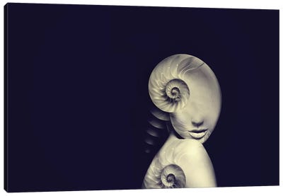 Shell I Canvas Art Print - Tatiana Amrein