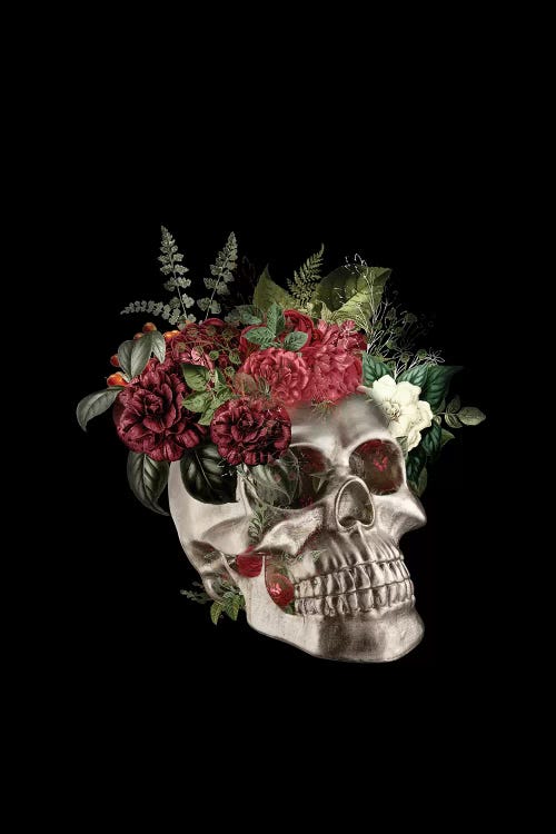Skull Flowers by Tatiana Amrein wall art