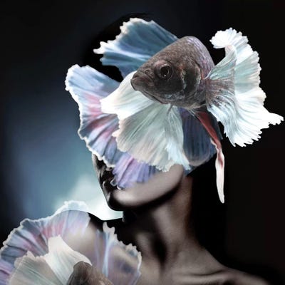 Fishing II by Tatiana Amrein framed canvas print