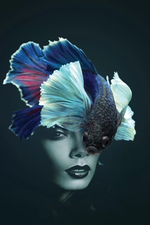 Fishing IV by Tatiana Amrein wall art