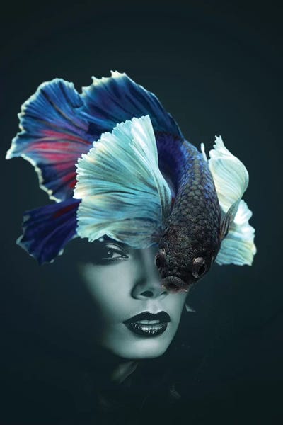 Betta: Fishing IV by Tatiana Amrein