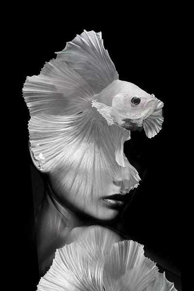 Tatiana Amrein: Fishing V by Tatiana Amrein