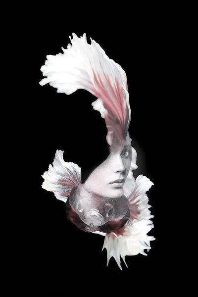 Betta: Fishing VI by Tatiana Amrein