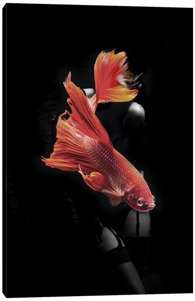 Fishing VII Canvas Art Print - Double Exposure Photography
