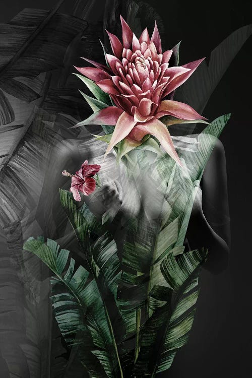 Secret Garden by Tatiana Amrein wall art