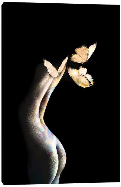 Butterflies Canvas Art Print - Tatiana Amrein