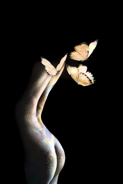 Tatiana Amrein: Butterflies by Tatiana Amrein