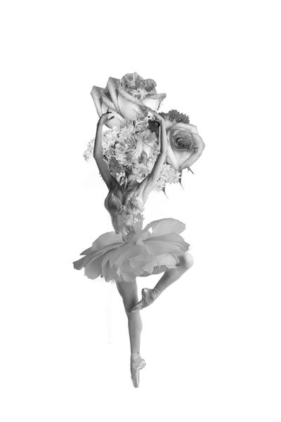 Dancing by Tatiana Amrein framed canvas print