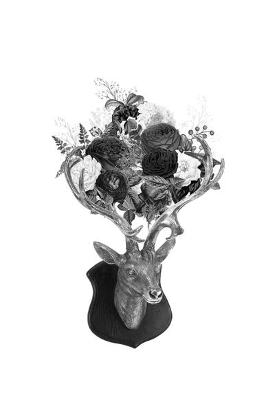 Tatiana Amrein: Deer by Tatiana Amrein