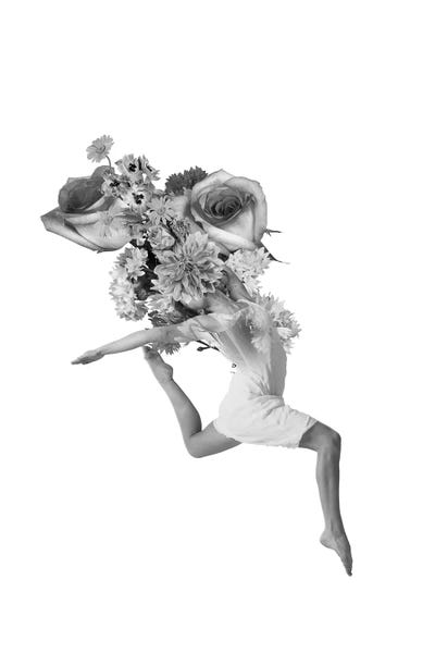 Flying With Flowers by Tatiana Amrein framed canvas print