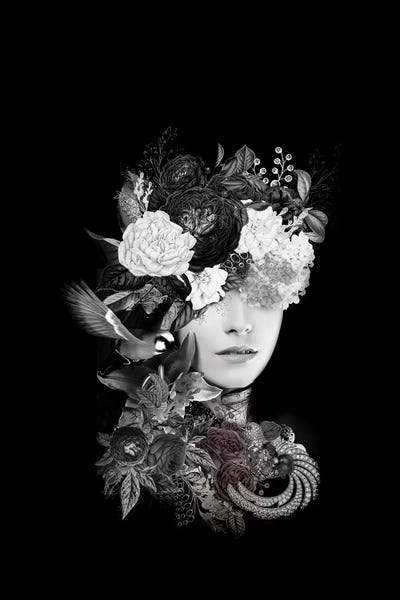 Lady Bird by Tatiana Amrein framed canvas print