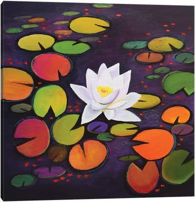 White Waterliy Canvas Art Print - Water Lilies Collection