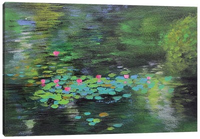 Forest Water Lilies Pond Canvas Art Print - Amita Dand