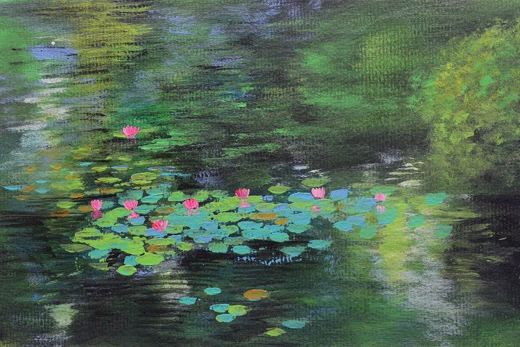 Forest Water Lilies Pond