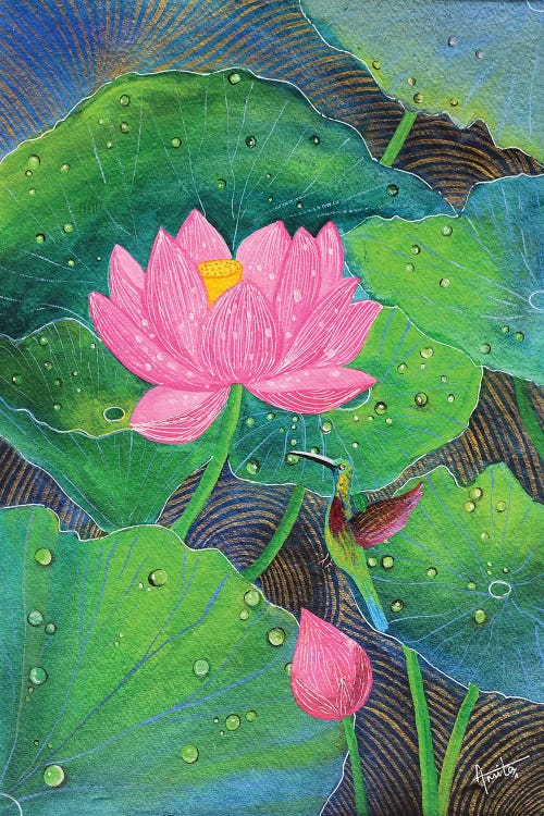 Pink Lotus And Humming Bird