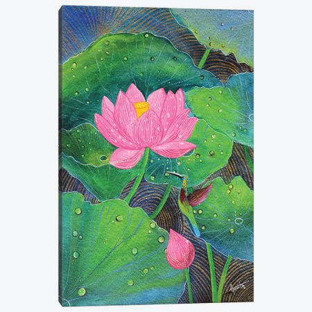Pink Lotus And Humming Bird Canvas Print #AMT28} by Amita Dand Canvas Wall Art