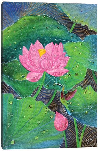 Pink Lotus And Humming Bird Canvas Art Print - Amita Dand