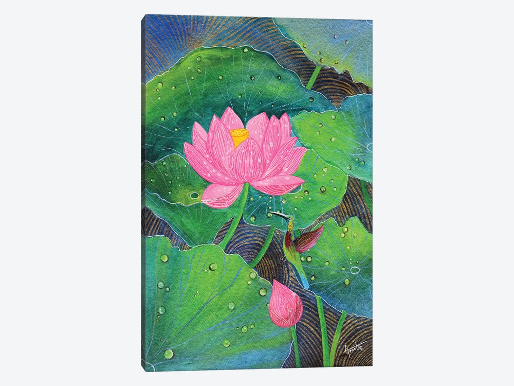 Pink Lotus And Humming Bird by Amita Dand 1-piece Canvas Print