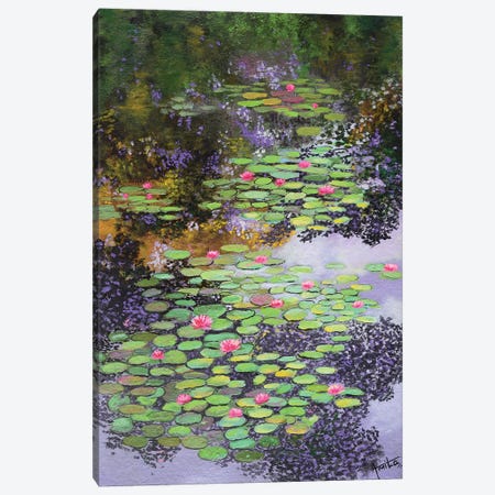 Sunspots On Lily Pond Canvas Print #AMT29} by Amita Dand Canvas Art