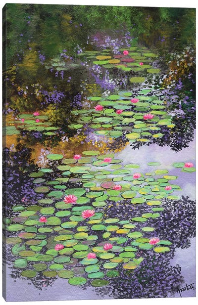 Sunspots On Lily Pond Canvas Art Print - Amita Dand