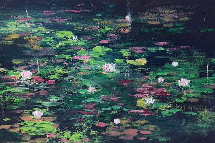 Black Abstract Water Lilies Pond