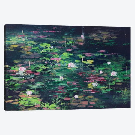 Black Abstract Water Lilies Pond Canvas Print #AMT39} by Amita Dand Canvas Print